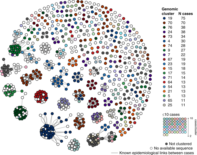123194793_1015589365575938_7078929249314608472_npng